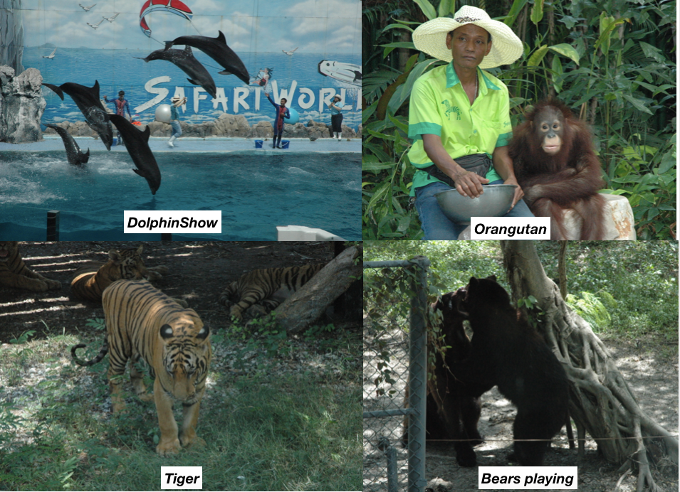 Safari World & Marine Park