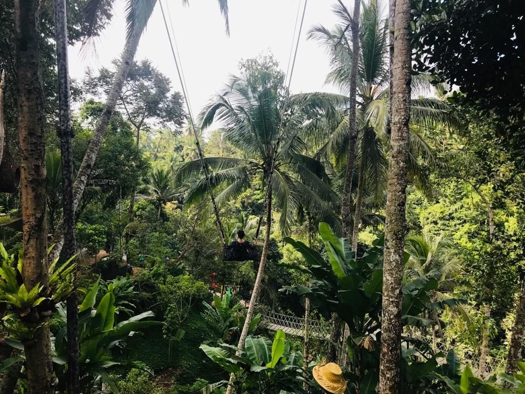 Swing over Rice Terrace Ubud Bali