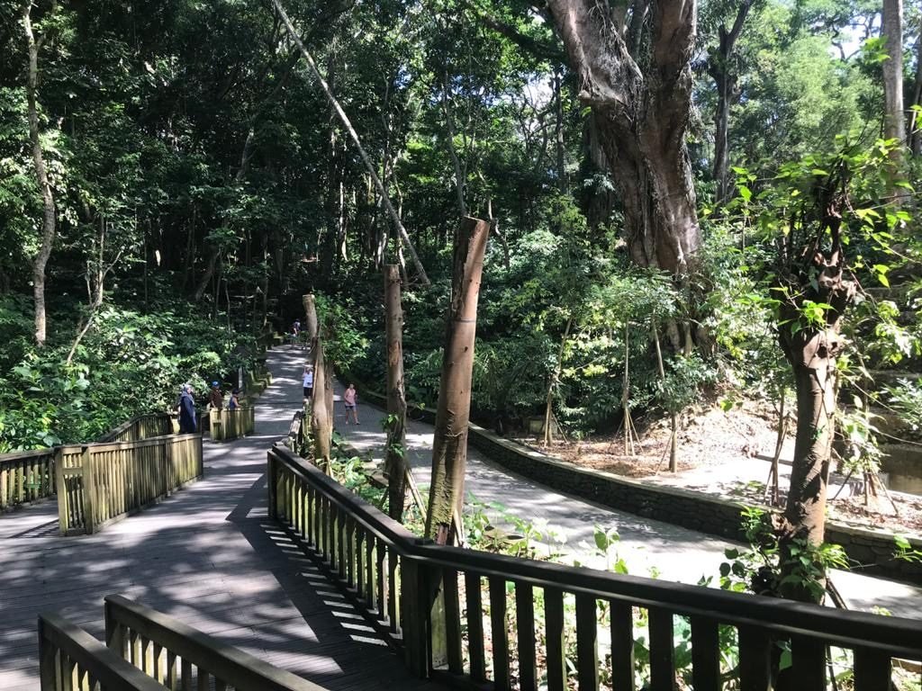 Monkey Forest - Ubud - Bali
