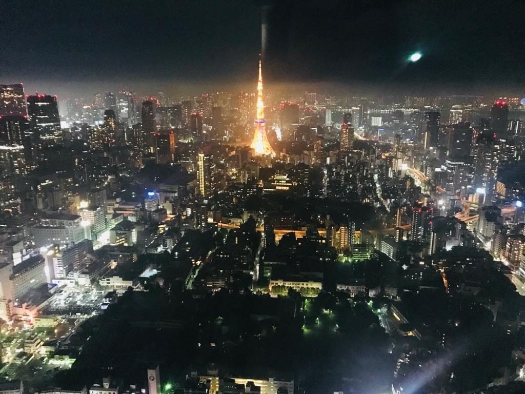 Tokyo City View, Japan