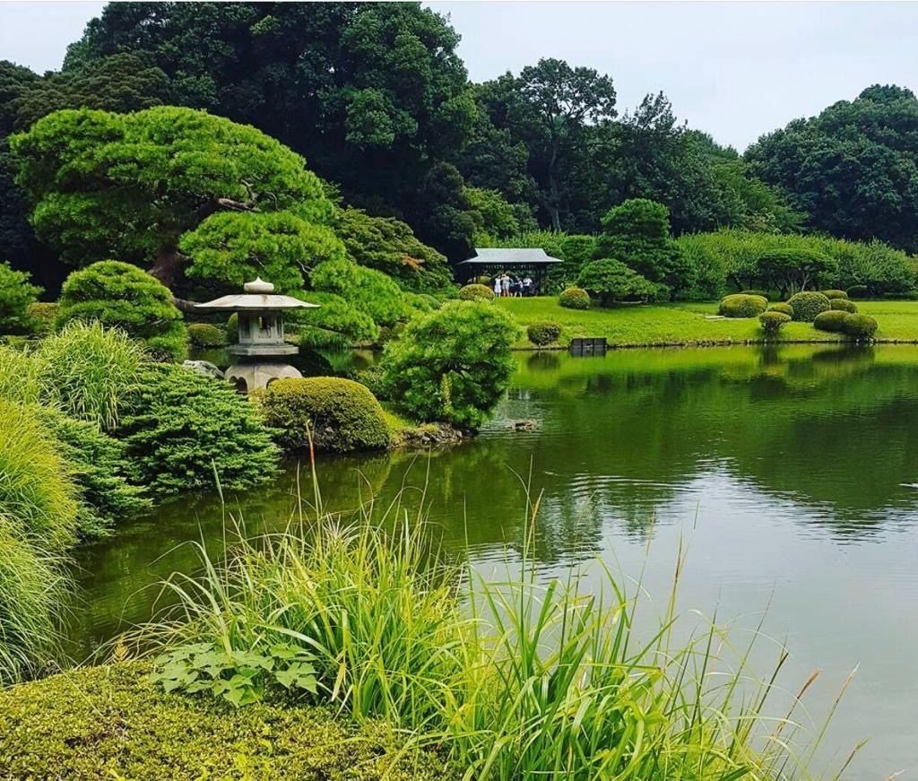 Gyoen Park at Shinjuku - Tokyo, Japan