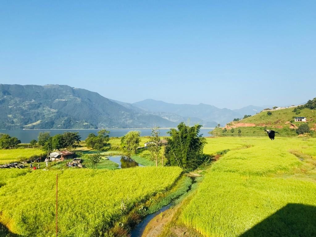 Waterfront Resort Pokhara