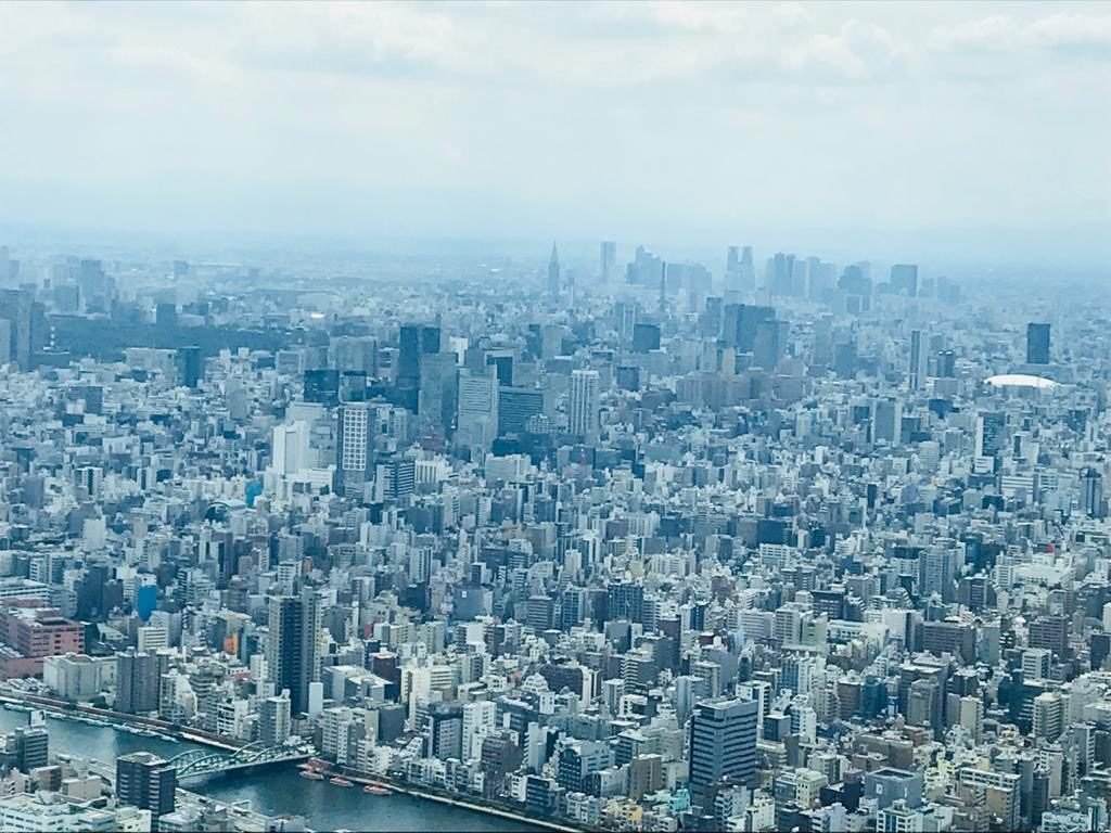 Tokyo Sky Tree Tower View
