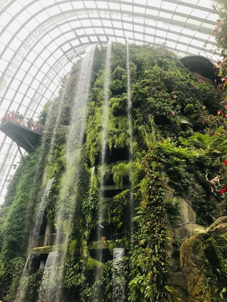 Waterfall - Cloud Forest - Gardens By The Bay
