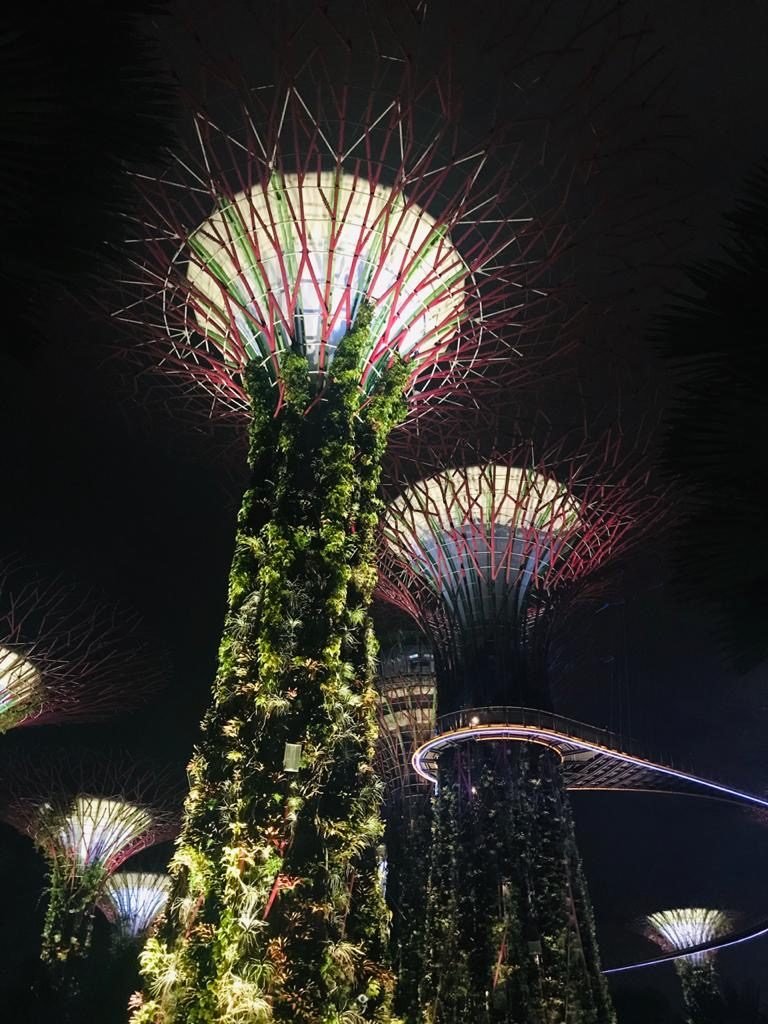 Garden by the Bay Light Show