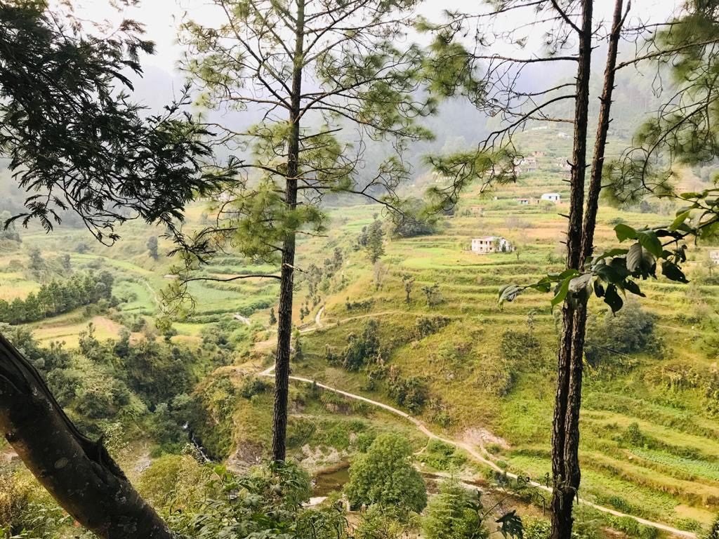 Bhimtal to Mukteshwar