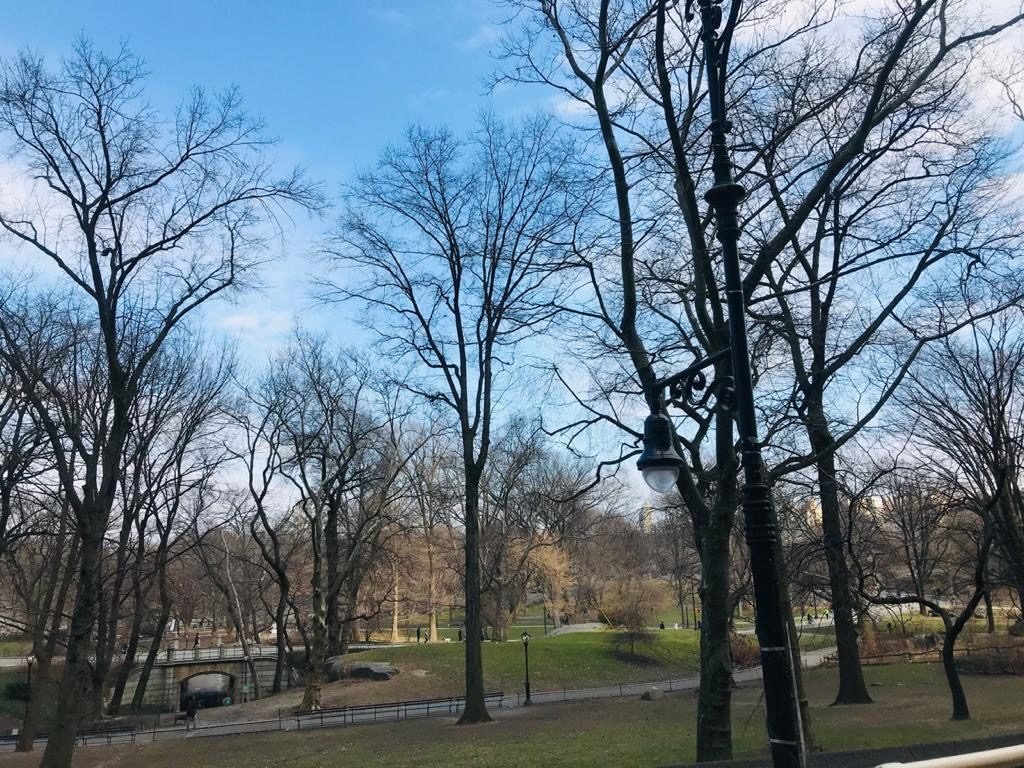 Central Park - New York City
