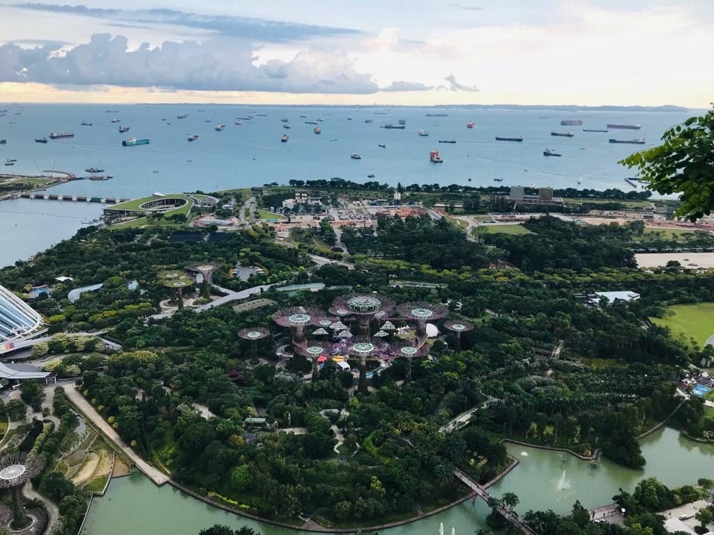View from Sky Park