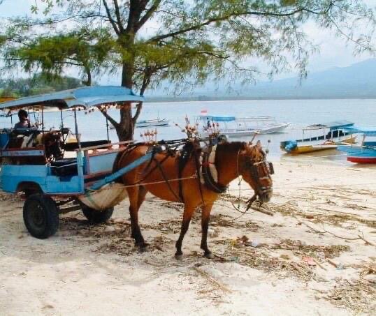 Ride on a Buggy/Carriage at Gili Islands